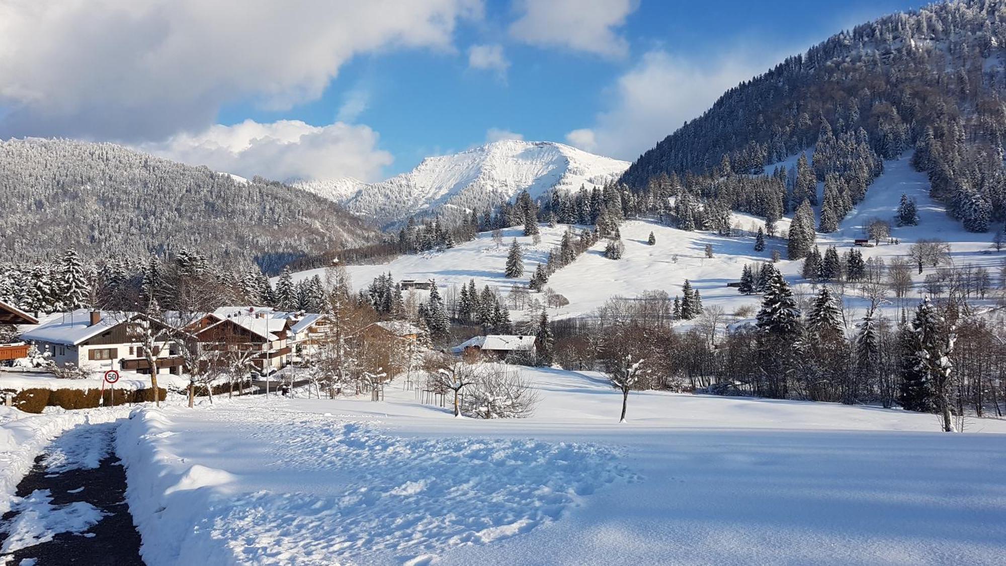 Exklusive Fewo Allgaeustern Steibis Mit Wlan Sauna Kamin Und Oberstaufen Plus Card Esterno foto